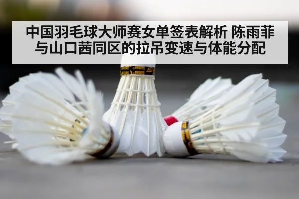 badminton shuttlecock court
